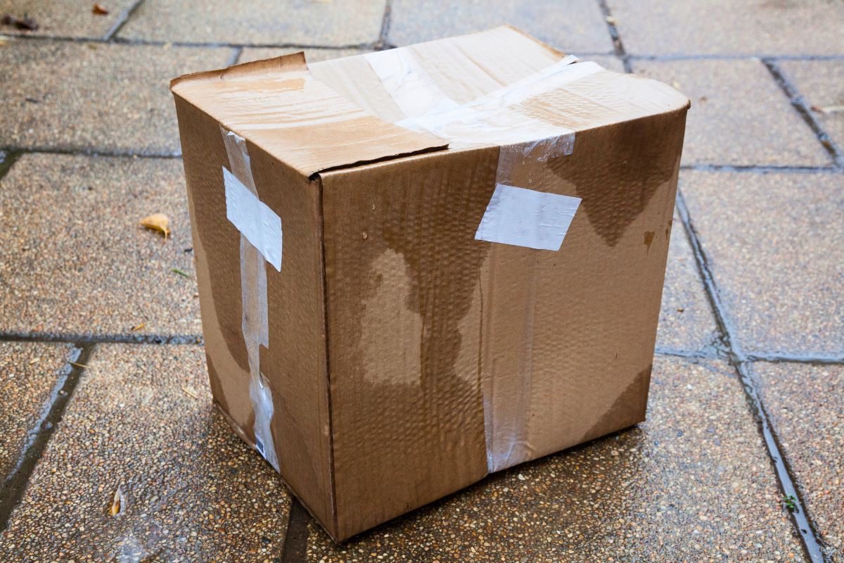 Winter Shipping Packaging: How to Protect Parcels During Winter From Rain and Moisture